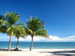 Miami y su mejor playa